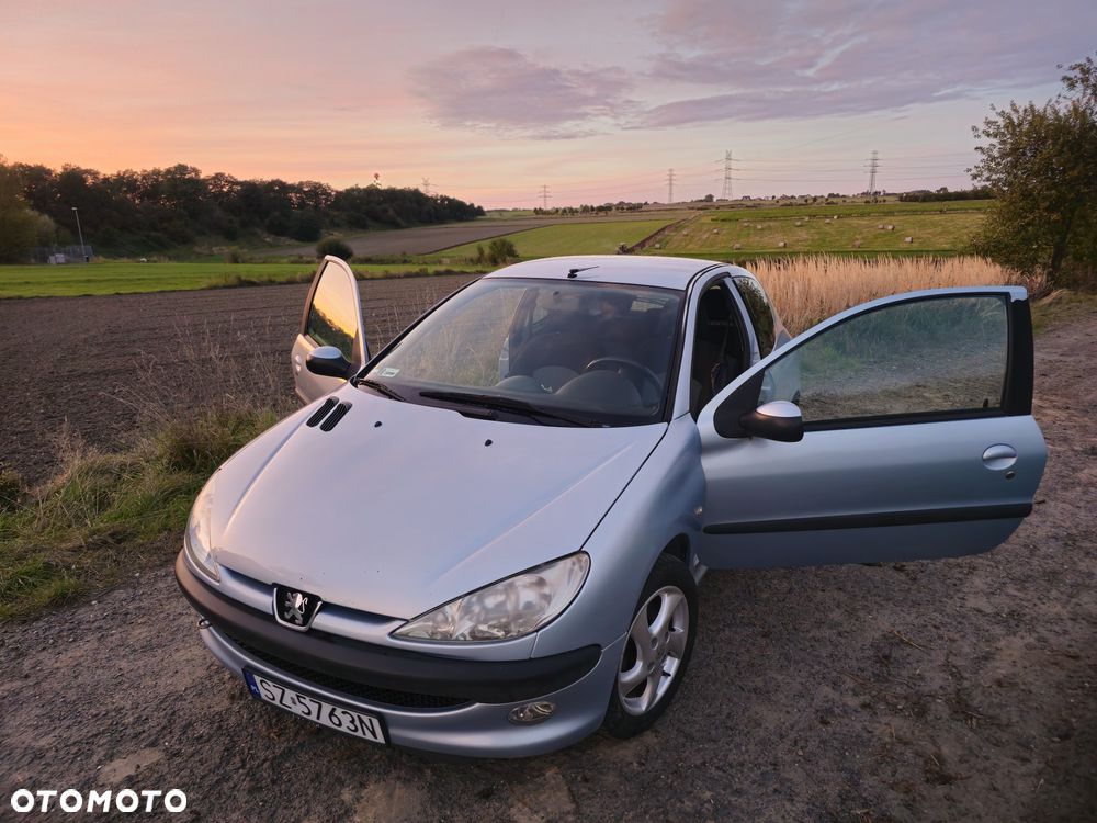 Peugeot 206 90 Quiksilver - 12