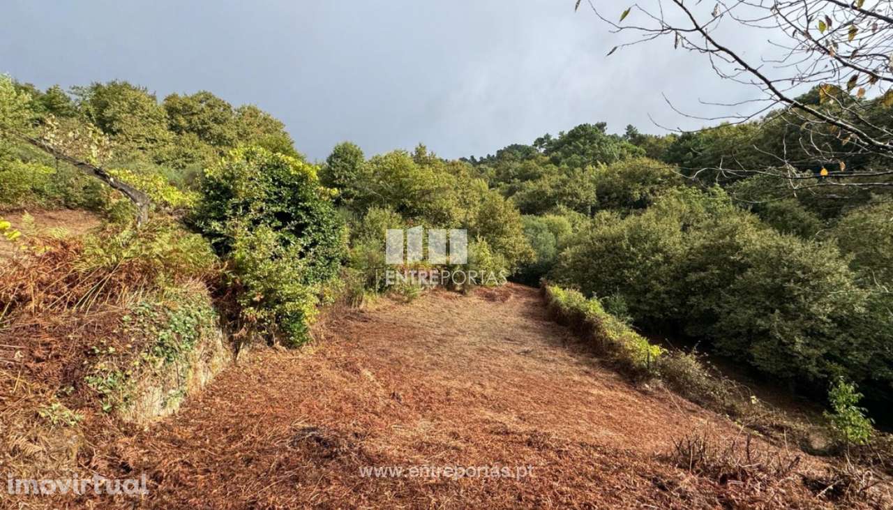 Venda de Terreno, em Stª Cruz do Douro, Baião - Grande imagem: 3/29