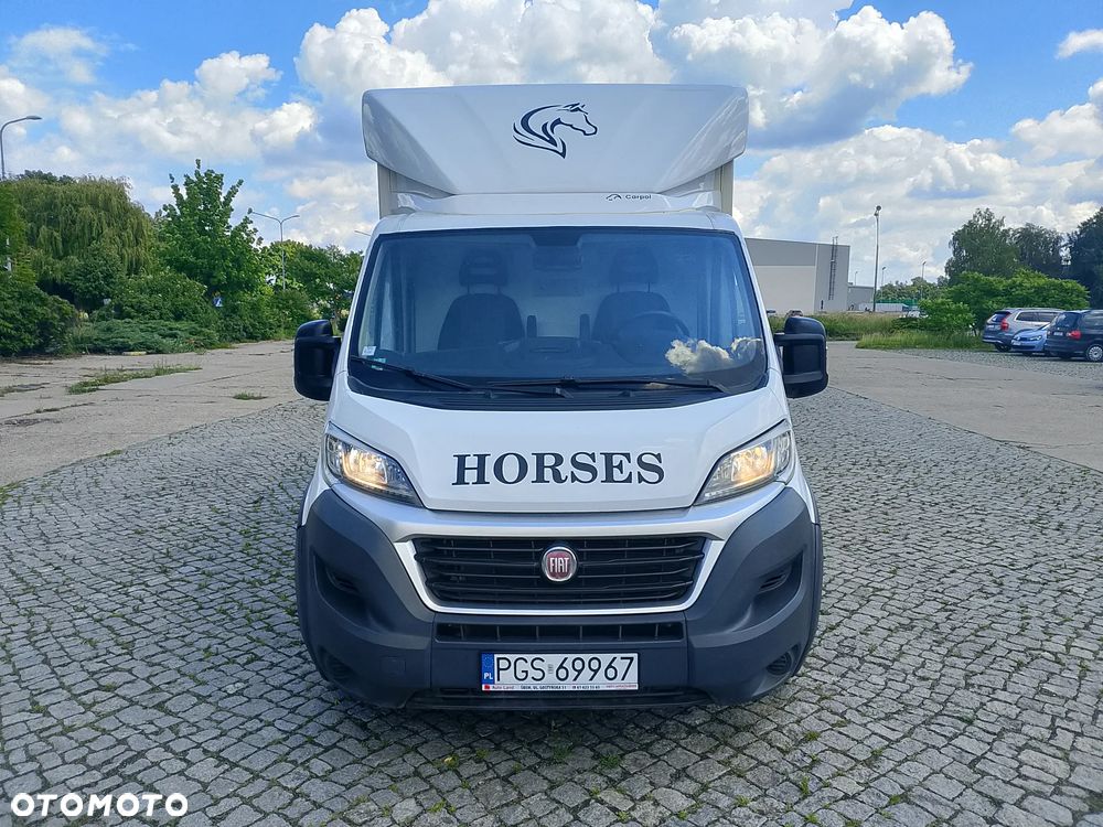 Fiat Ducato Koniowóz - 4