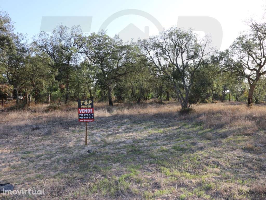 Terreno 1006m2 - Foros de Salvaterra - 60.000€ - Grande imagem: 5/8