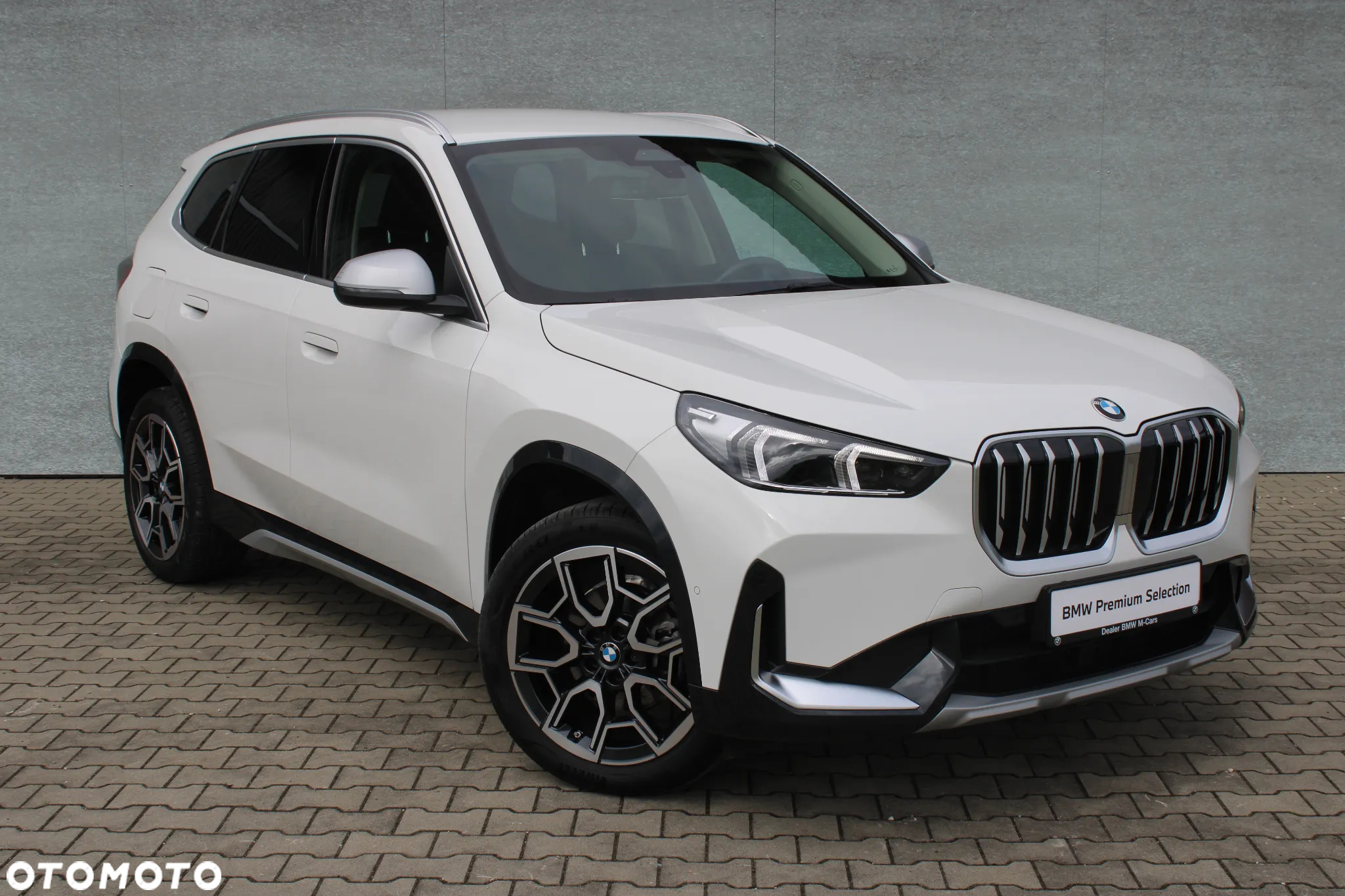 BMW X1 sDrive18i xLine - 2