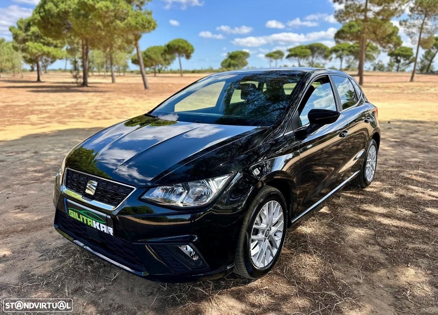 SEAT Ibiza - 1