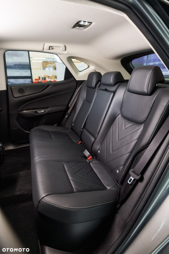 Lexus NX - 16