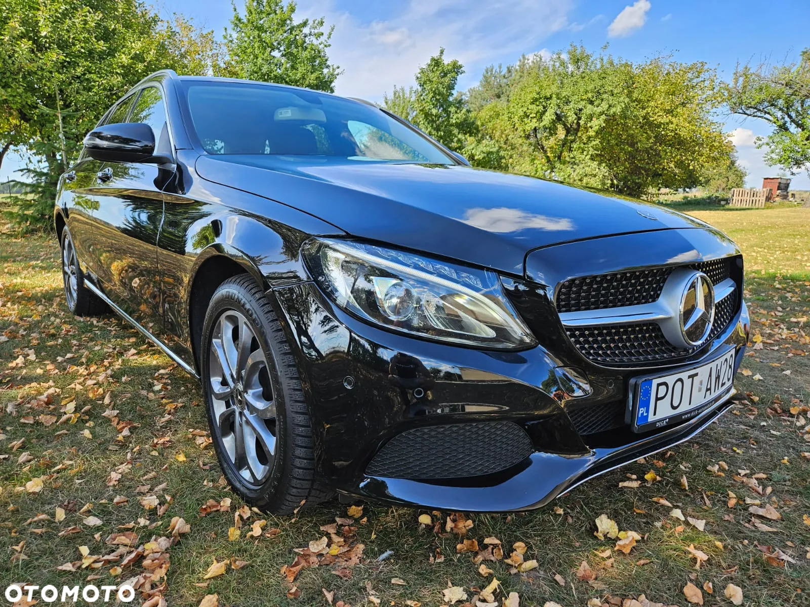 Mercedes-Benz Klasa C 250 d 4-Matic 9G-TRONIC - 18
