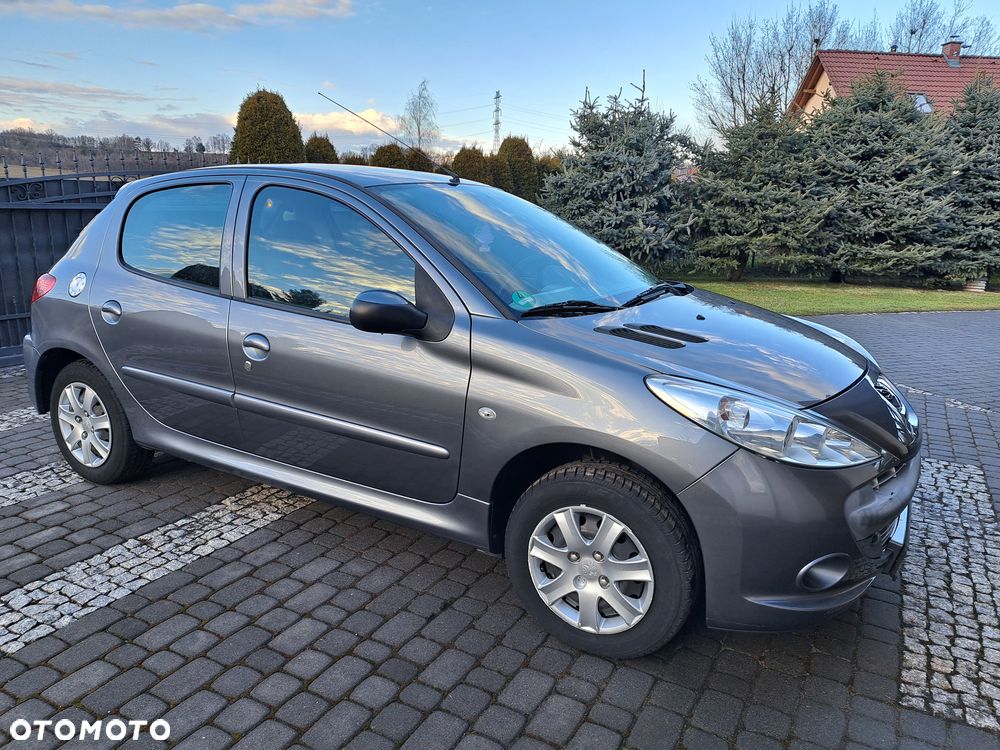 Peugeot 206 plus 60 - 2