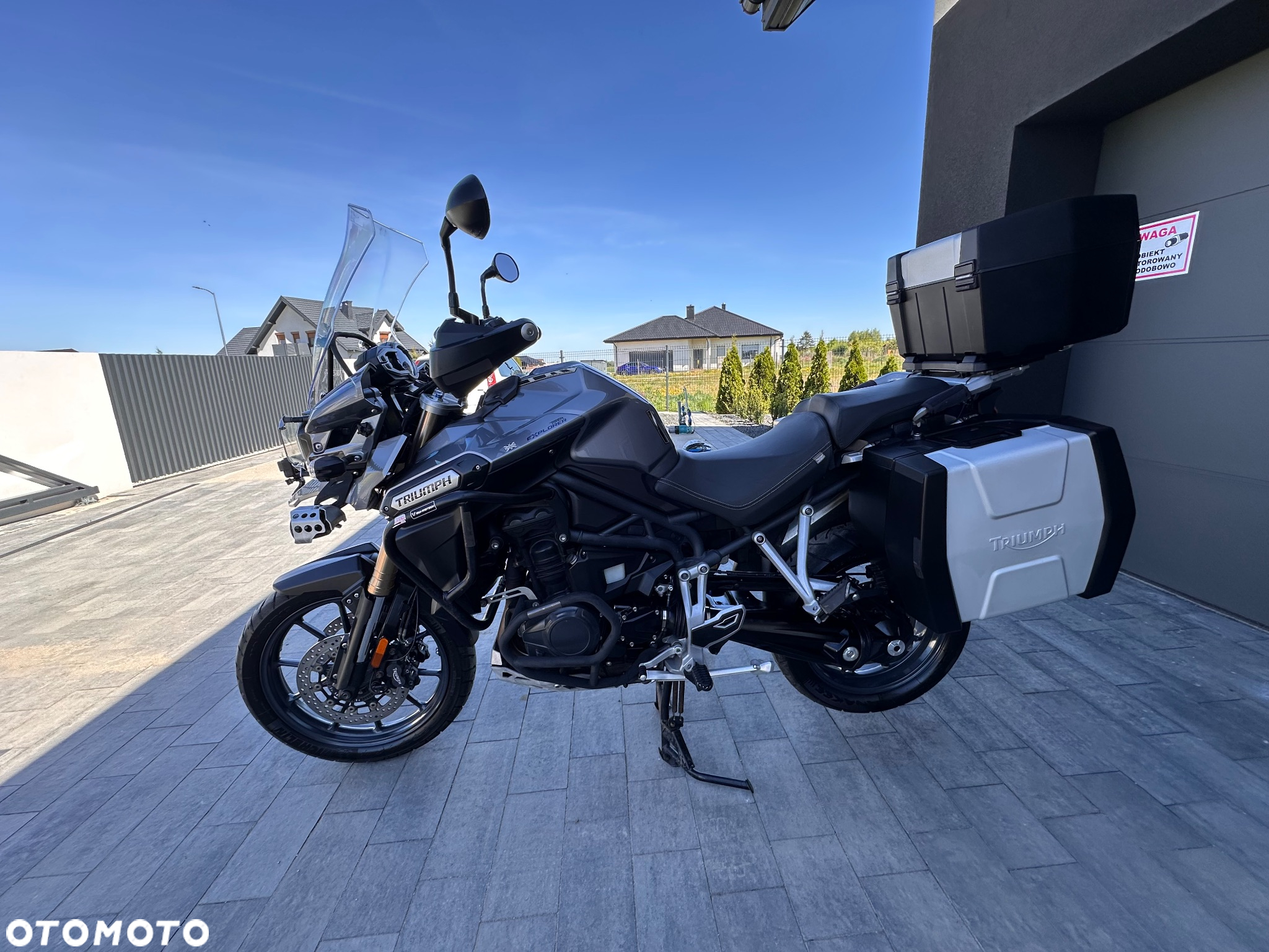 Triumph Tiger - 5