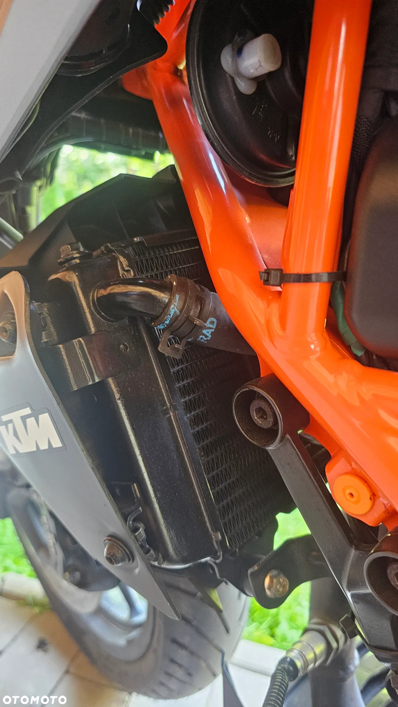 KTM Duke - 18