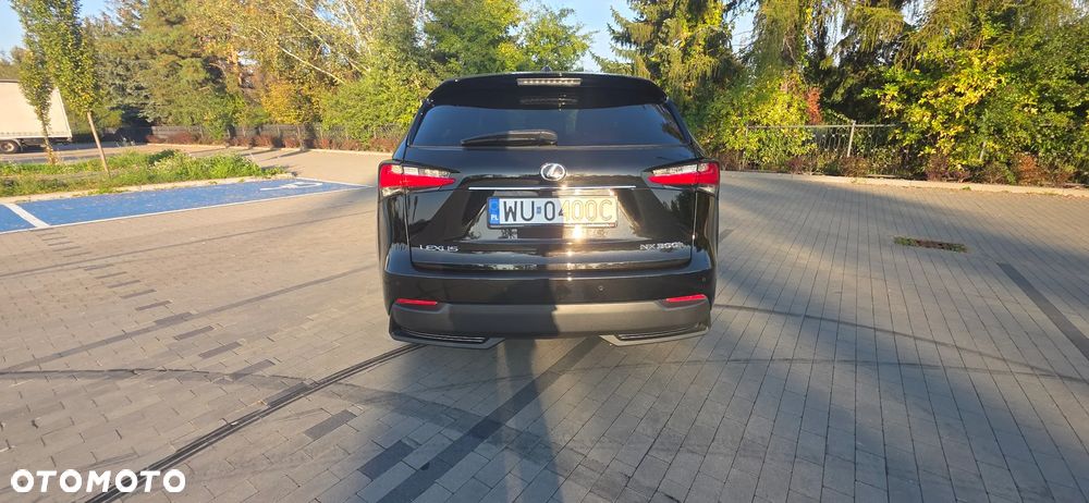 Lexus NX 300h F Sport AWD - 20
