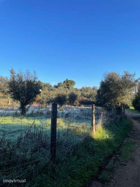Terreno com ruina no meio do campo - Grande imagem: 2/6