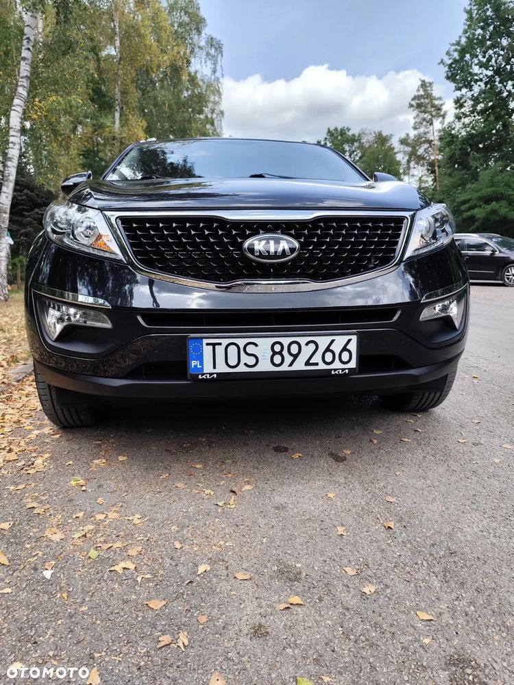 Kia Sportage - 19