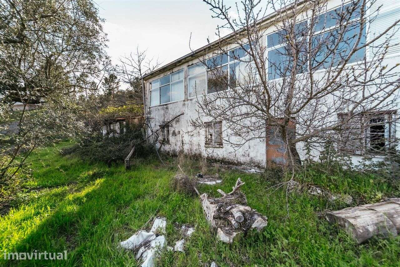 Quinta T3 / Covilhã, Cantar - Galo