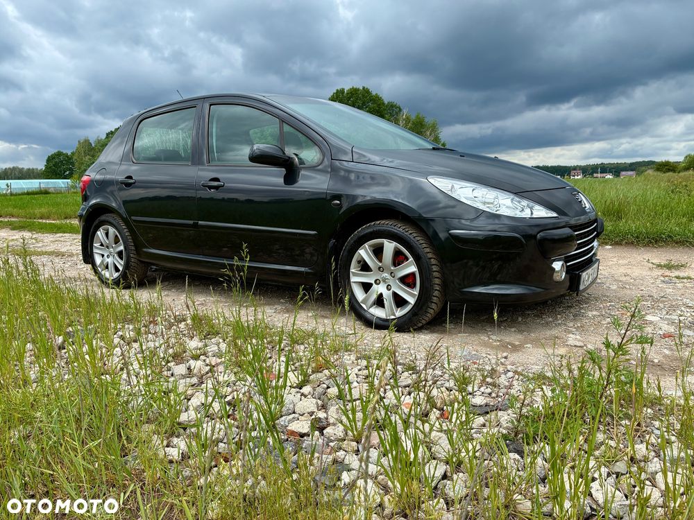 Peugeot 307 - 4