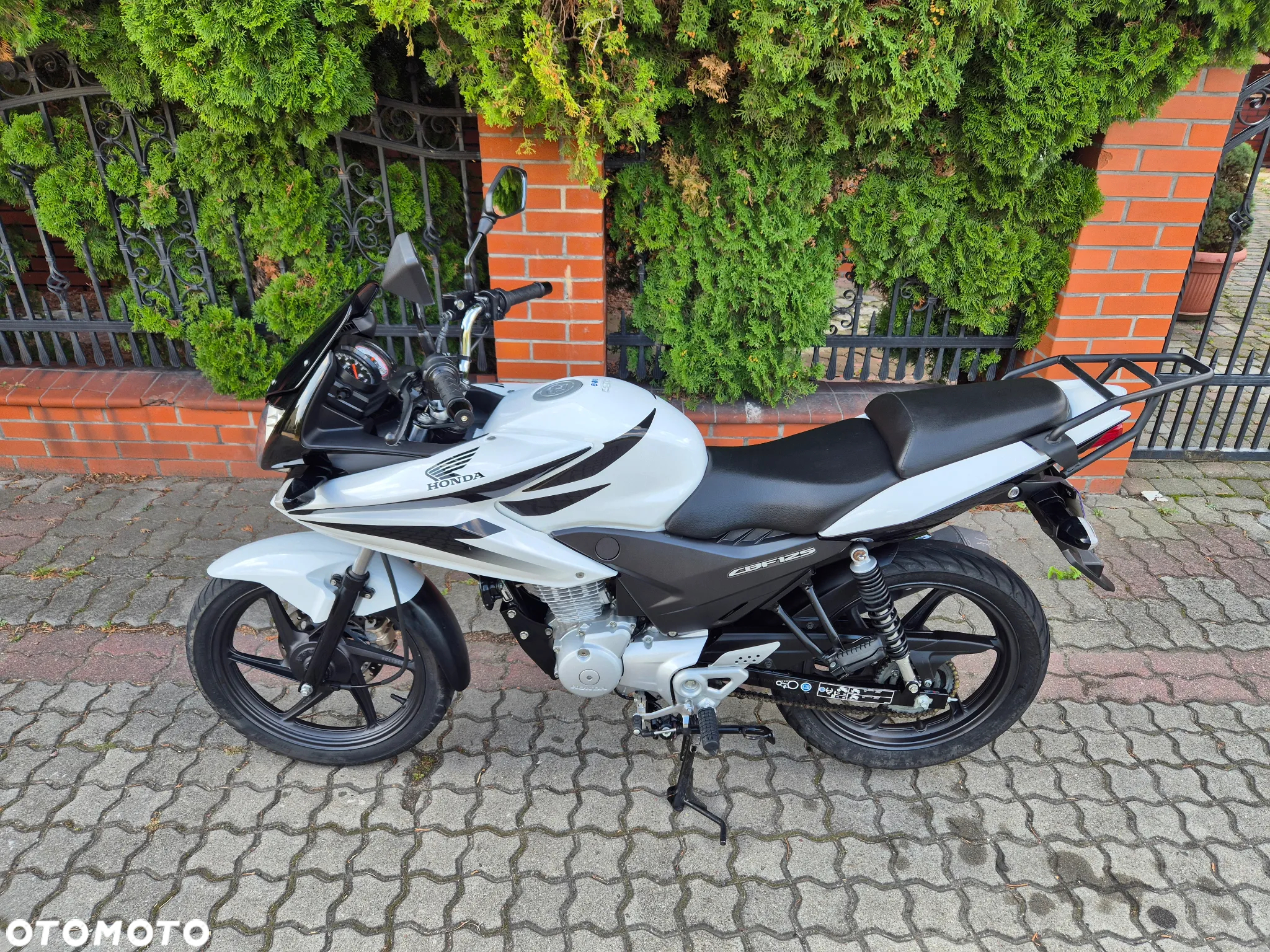 Honda CBF - 13