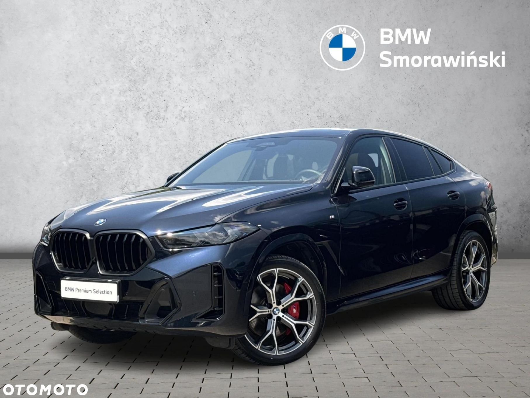 BMW X6 - 1