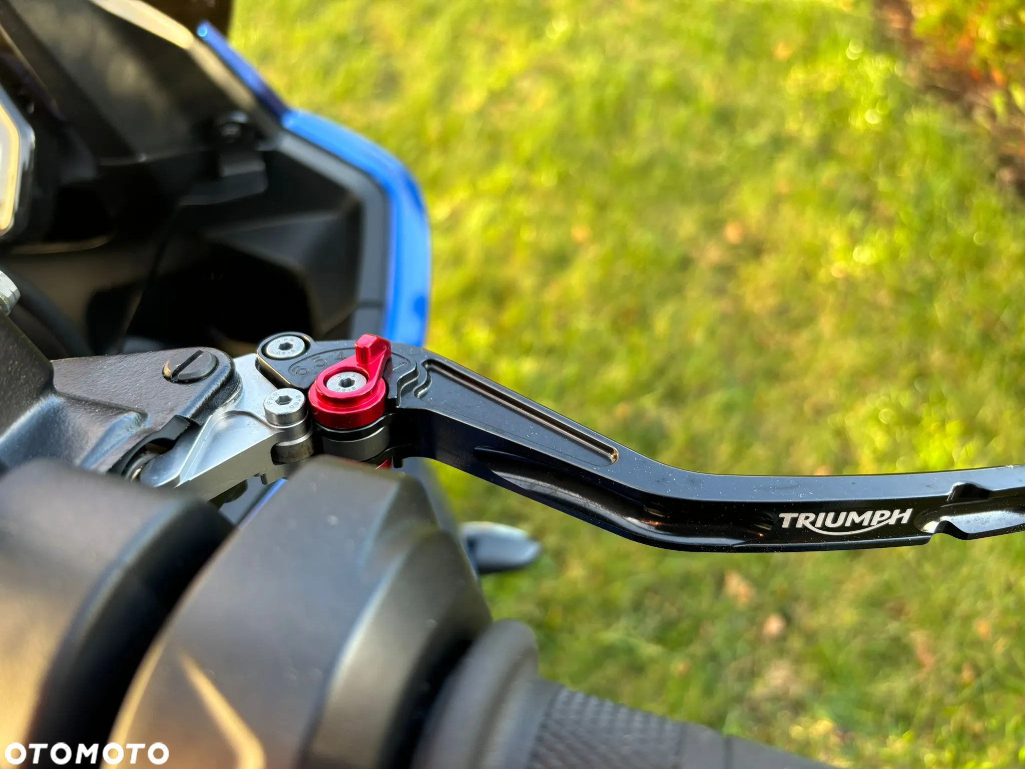 Triumph Tiger - 22