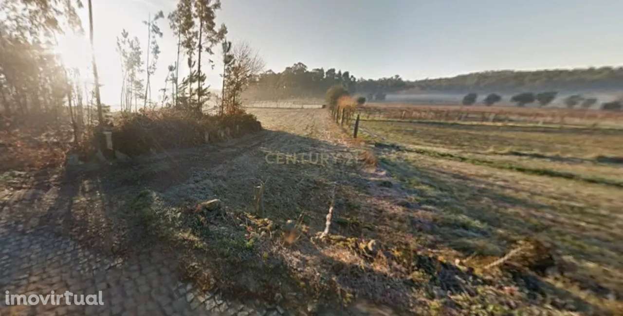Terreno rústico em Curvos – Sítio da Abelheira - Grande imagem: 3/4