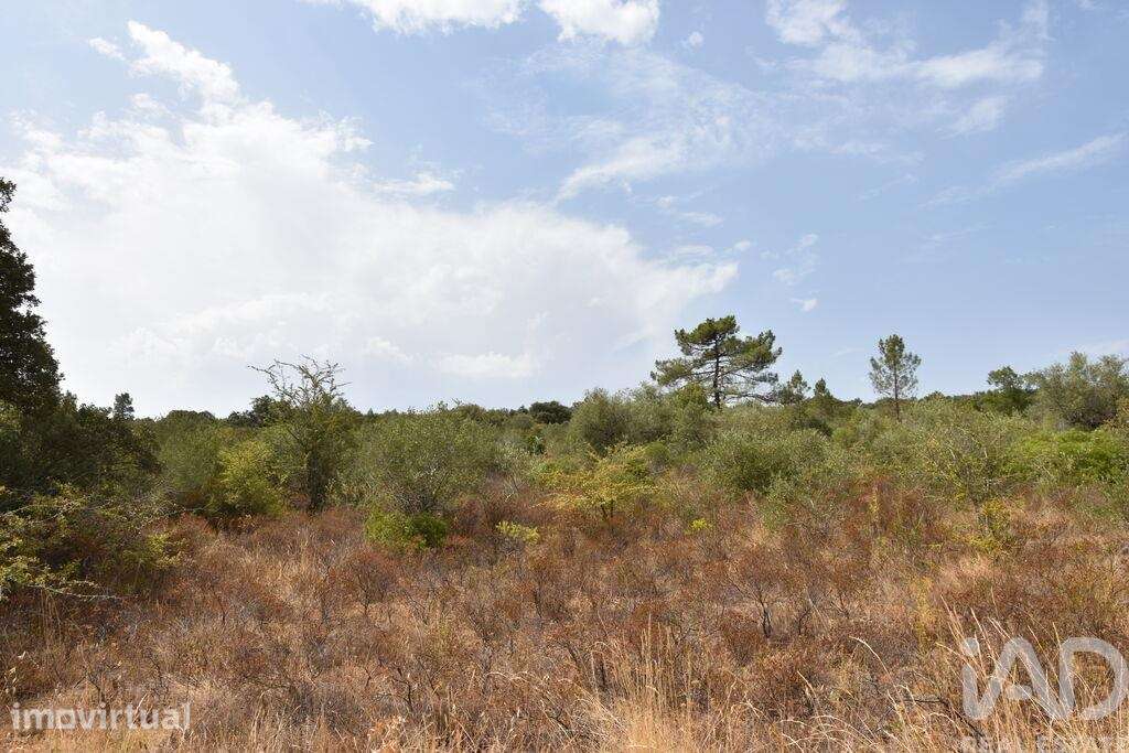 Terreno em Areias e Pias de 1600,00 m2
