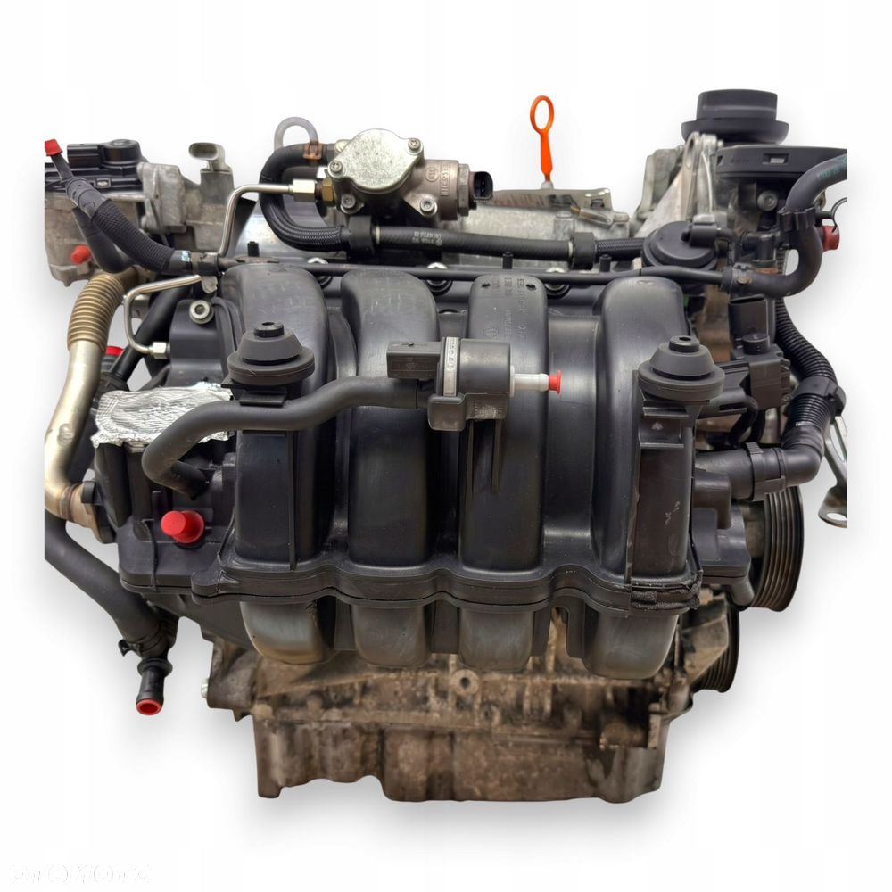 SILNIK BLF Audi A3 II 8P Skoda Octavia II 1.6 FSI 115KM benzyna 94 555km - 5