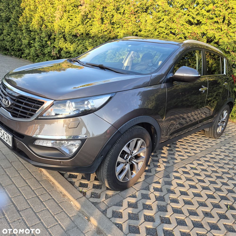 Kia Sportage - 1