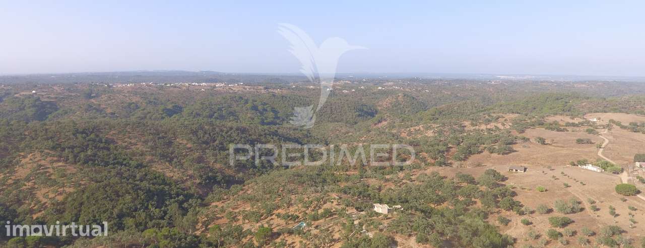 Terreno de 3,5 hectares com ruina a poucos minutos de Melides - Grande imagem: 4/11