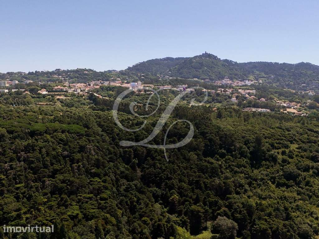 Lote de Terreno p/construção com 1.327m2 | Sintra - Grande imagem: 3/17
