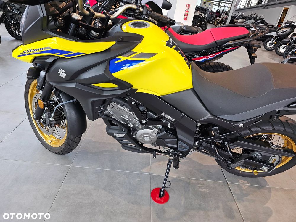 Suzuki V-STROM - 19