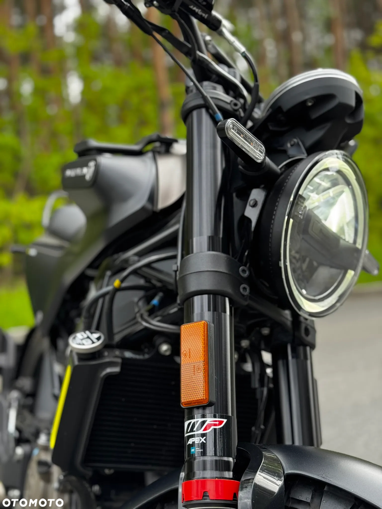 Husqvarna Svartpilen - 11