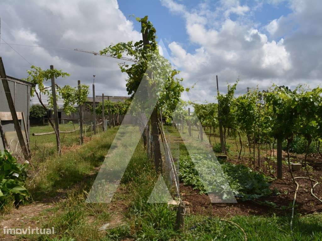Lotes de terreno para construção de moradias em Assilhó - Albergari... - Grande imagem: 5/16