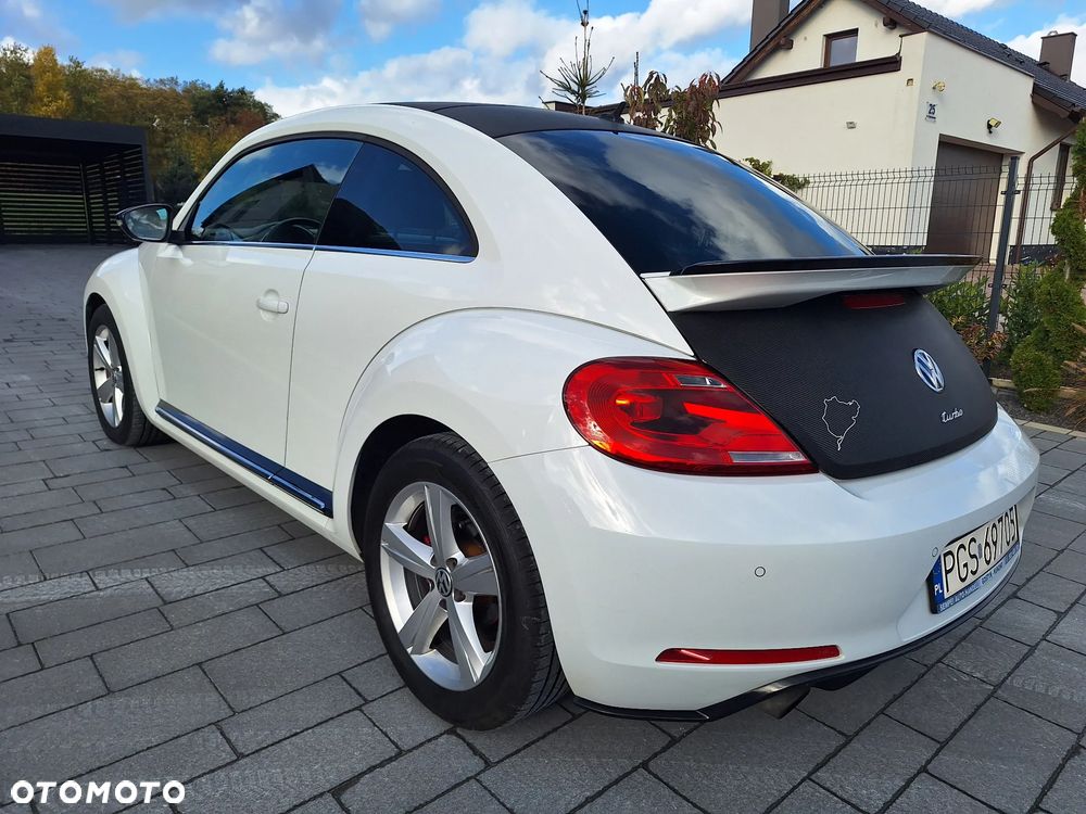 Volkswagen Beetle - 12