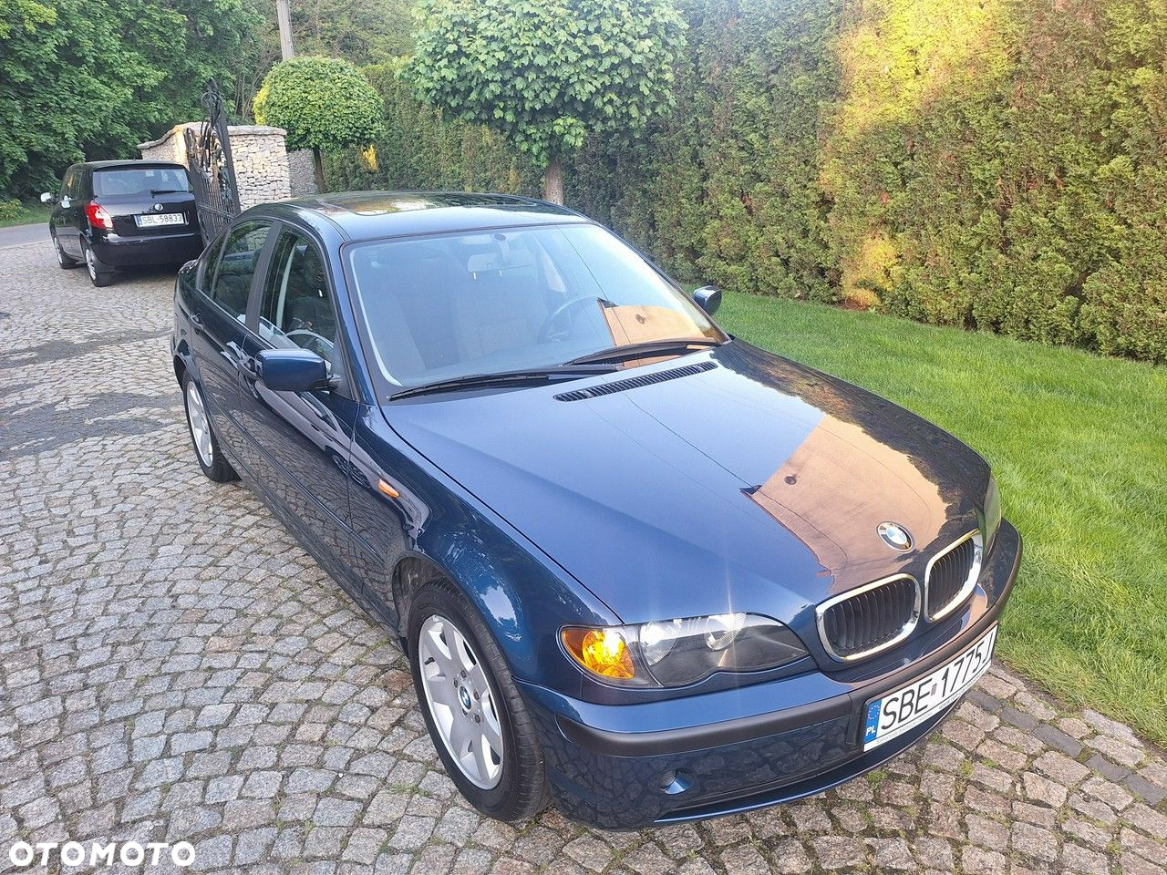 BMW Seria 3 318i Edition Exclusive - 38