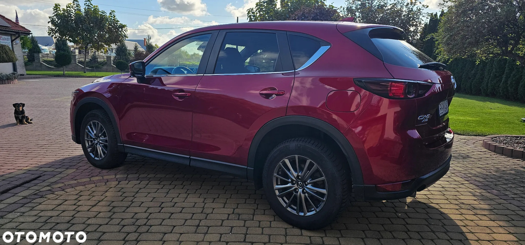 Mazda CX-5 2.5 Skyprestige AWD - 5
