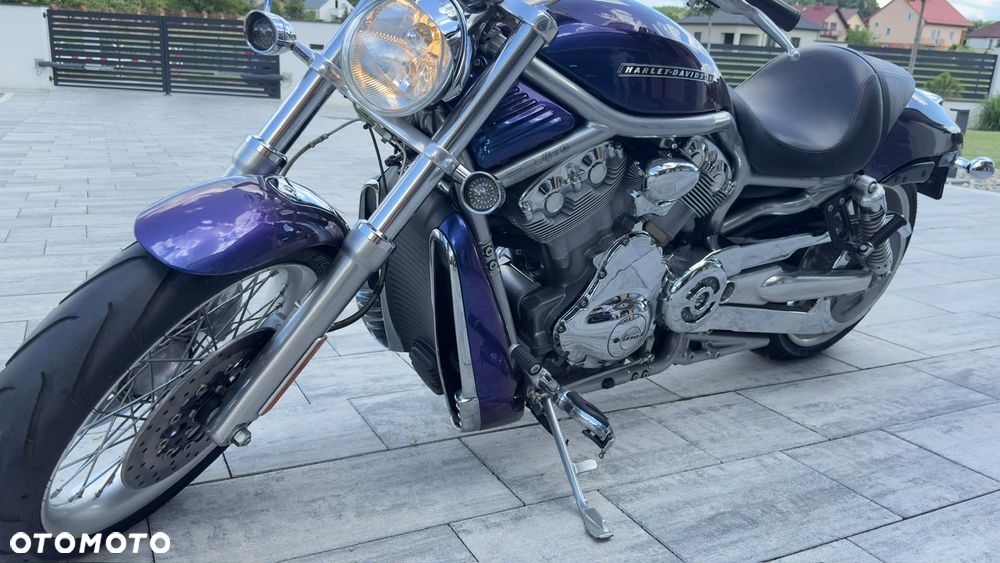 Harley-Davidson V-Rod Street Rod - 8