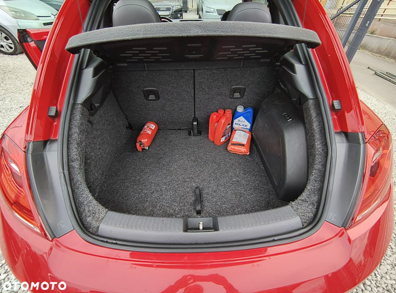 Volkswagen Beetle - 13