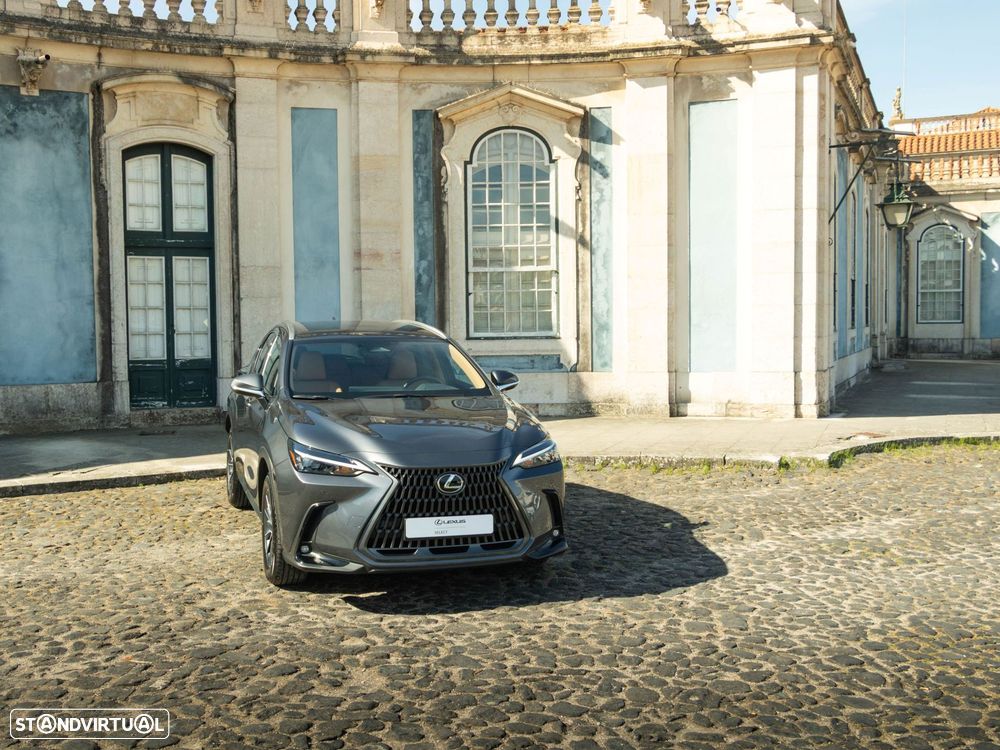 Lexus NX 450h+ - 18