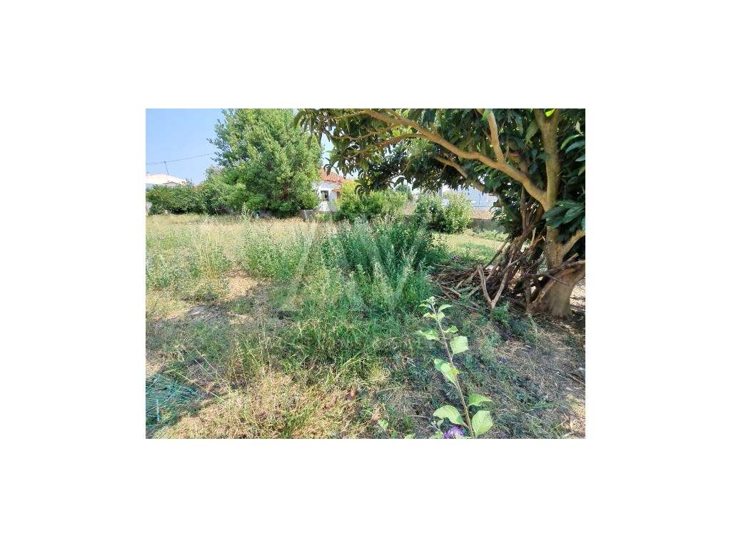 TERRENO IDEAL PARA CONSTRUÇÂO 5/6 FRAÇÕES - Grande imagem: 3/7
