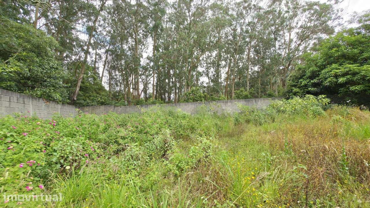 Terreno com 4500m2 no Rosário,  Lagoa - Grande imagem: 2/19