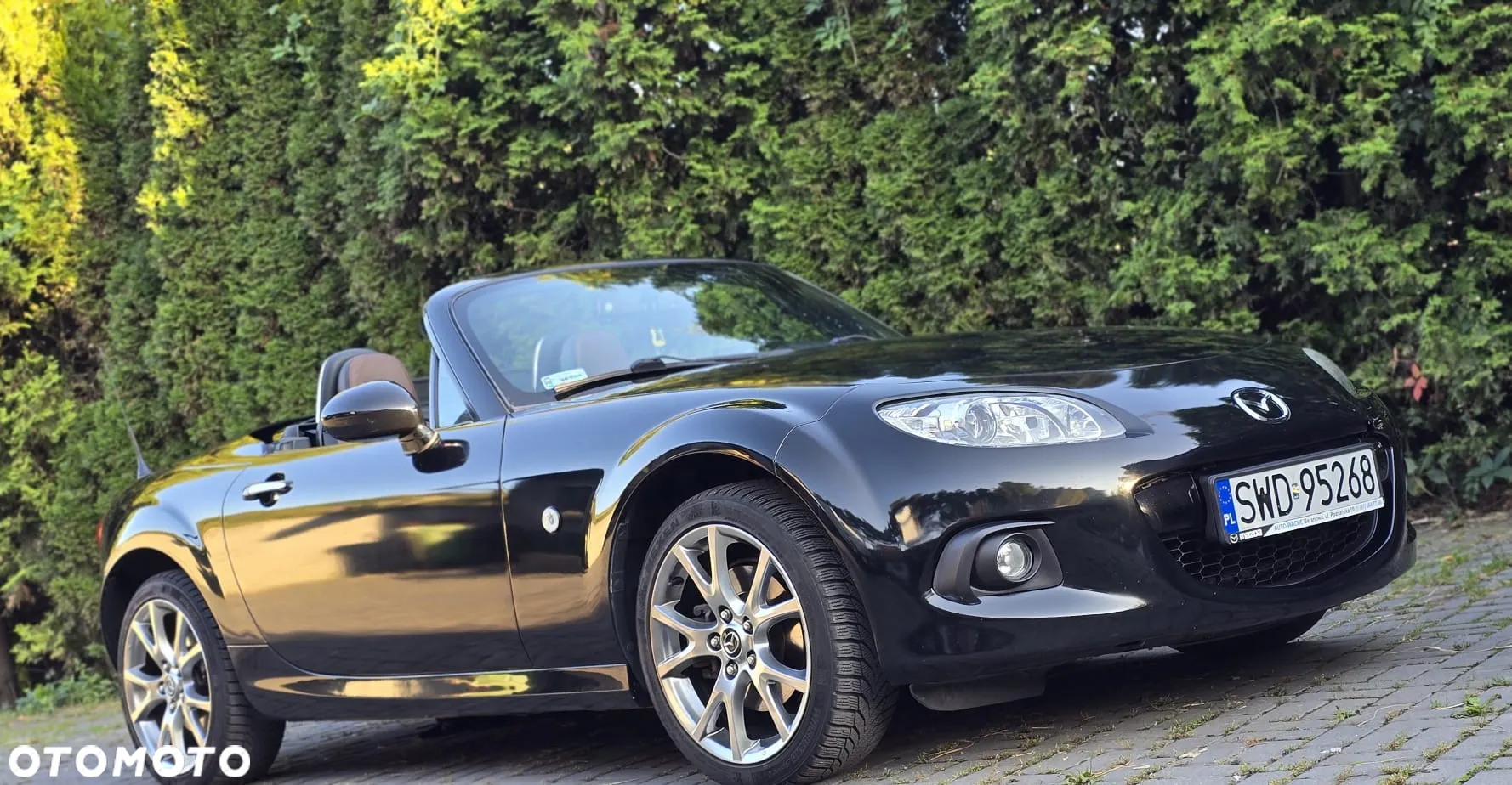 Mazda MX-5 - 8