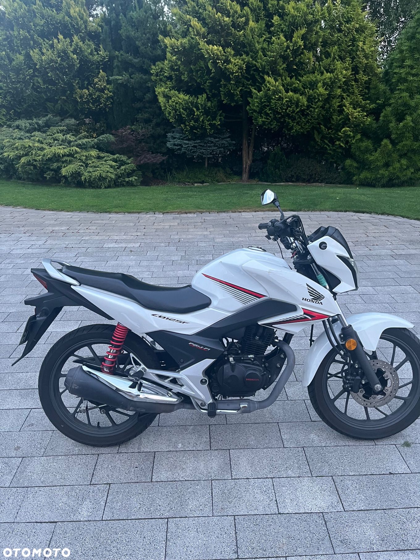 Honda CBF - 1