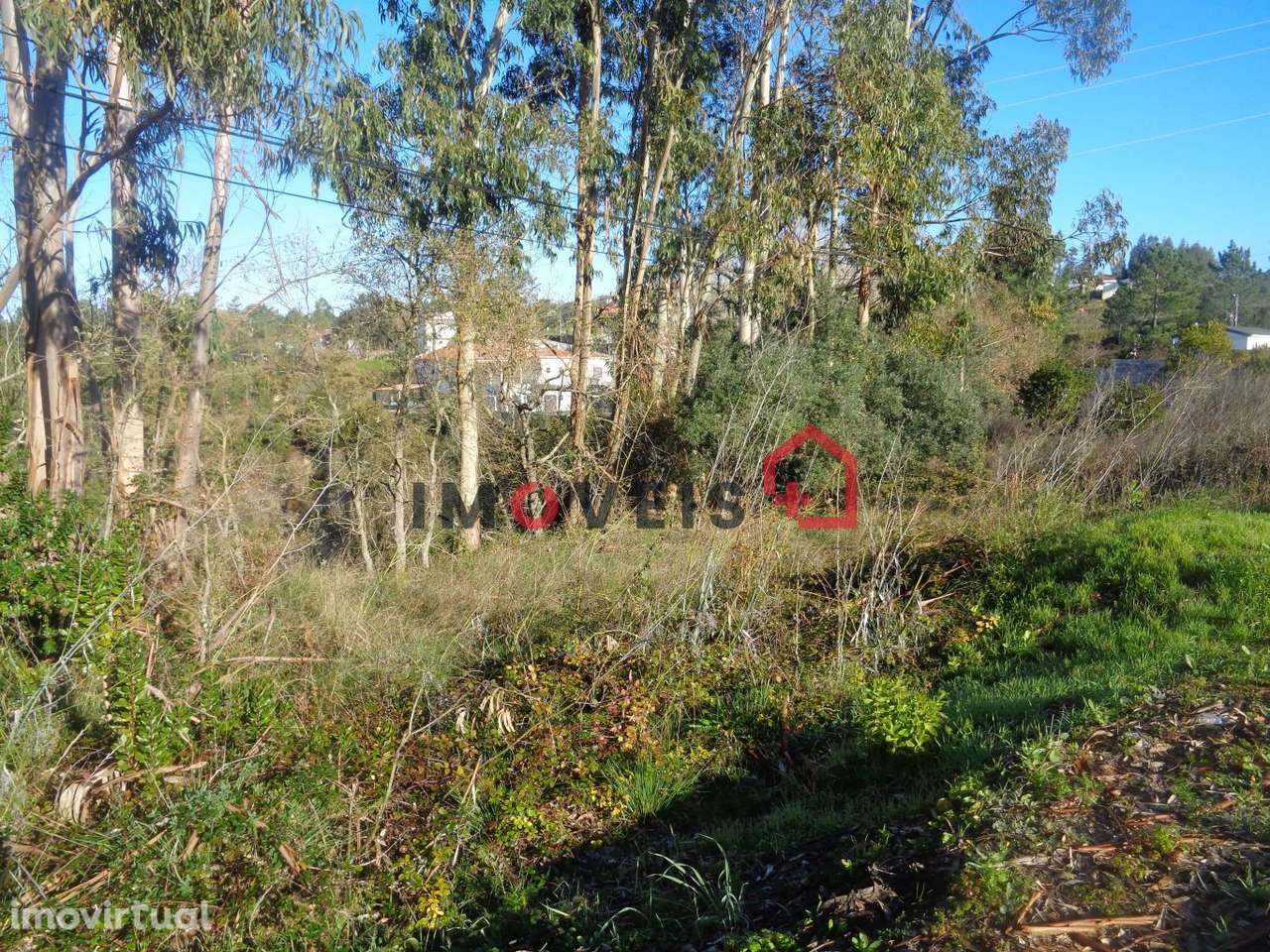 Lote terreno para construção - Grande imagem: 3/3