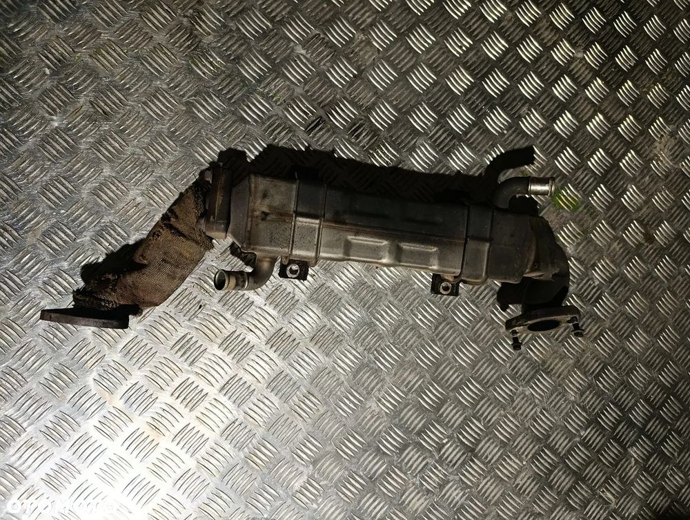 Chłodniczka Egr Renault Gama D DTI8 VOLVO FL AE83311001 - 1