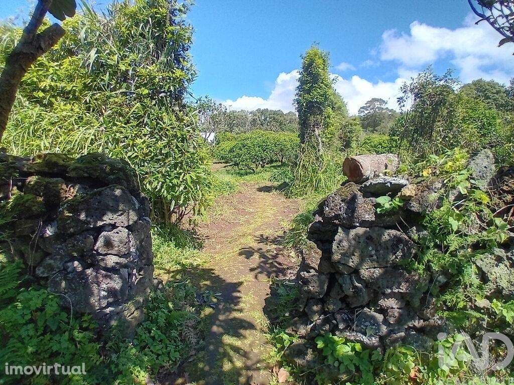 Terreno Agrícola em Lagoa (Nossa Senhora do Rosário) - Grande imagem: 3/17