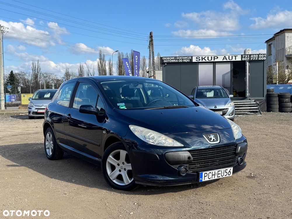 Peugeot 307 1.4 XR - 11