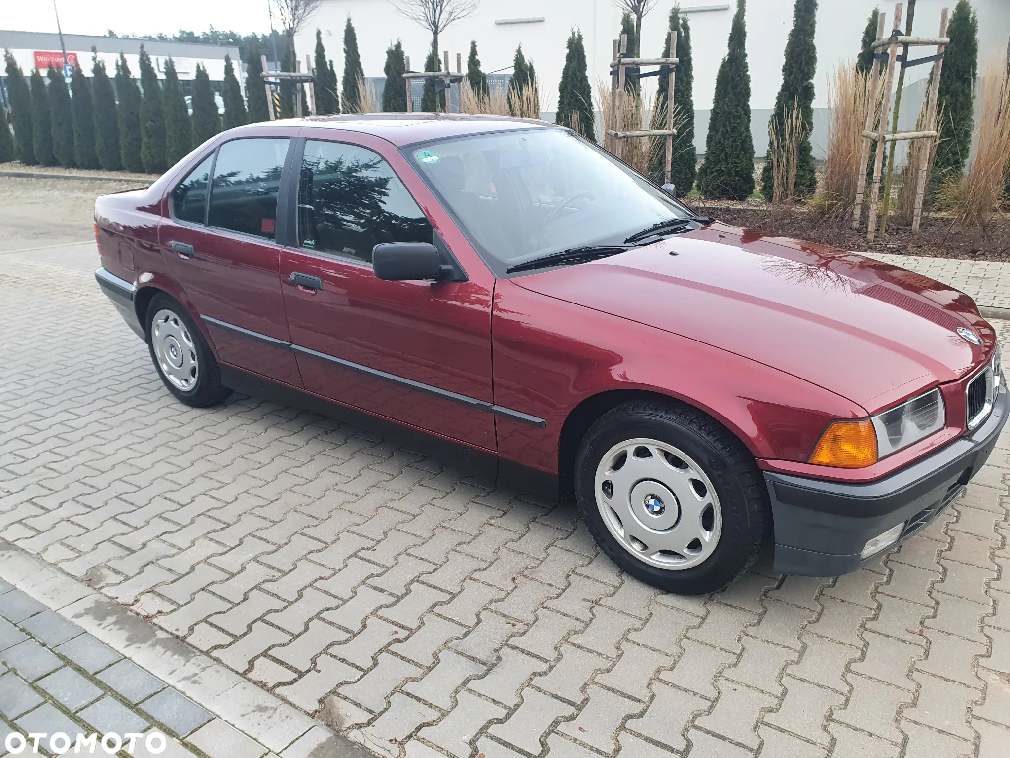 BMW Seria 3 318i - 6