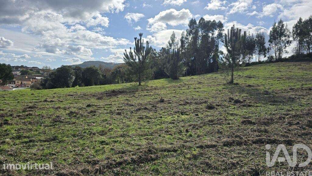 Terreno para construção em Lamas e Cercal - Grande imagem: 3/13