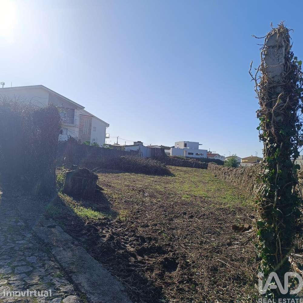 Terreno em Moledo e Cristelo - Grande imagem: 4/16