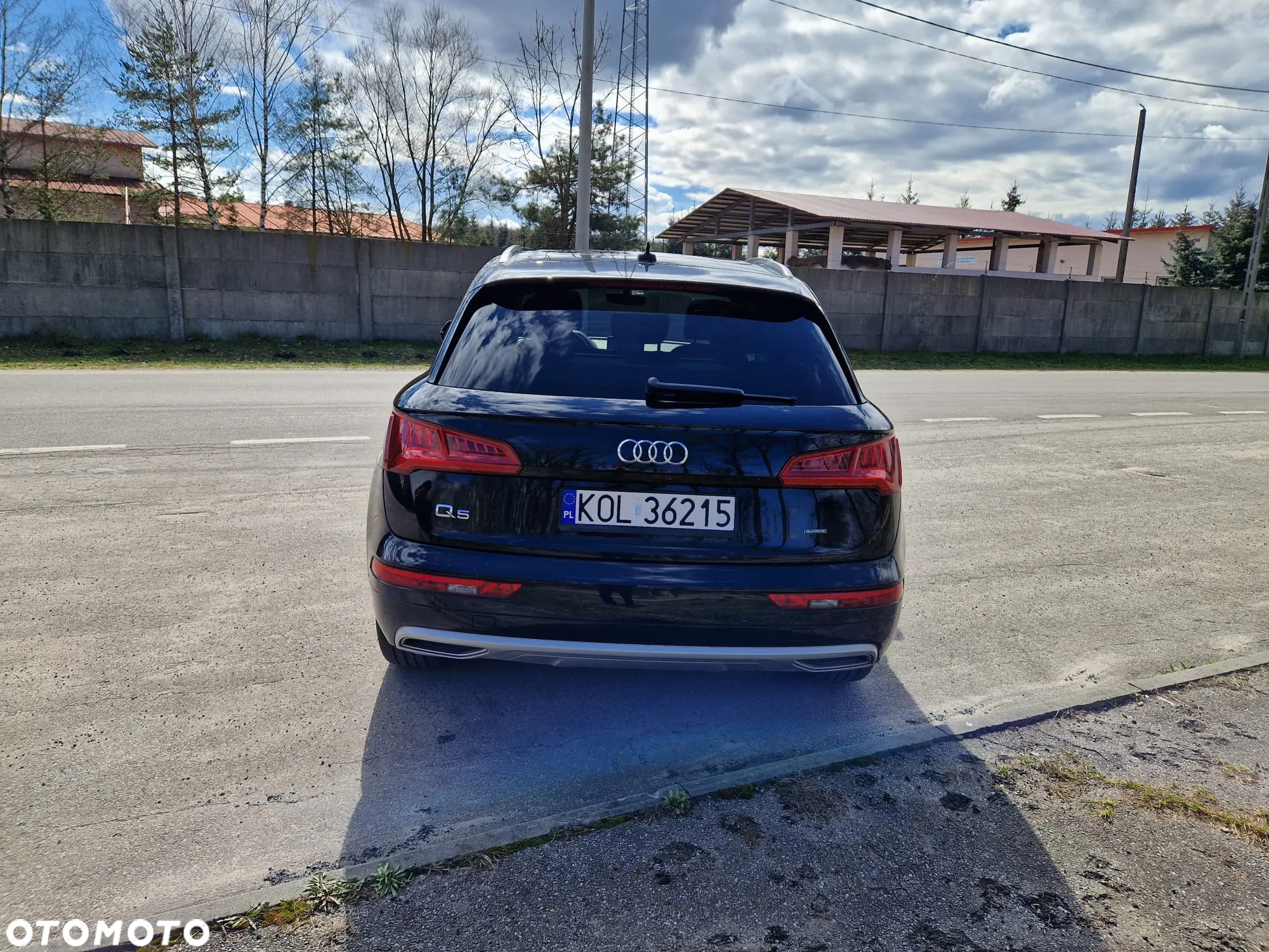 Audi Q5 - 25