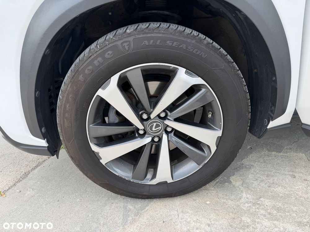 Lexus NX 300 Business Edition AWD - 32