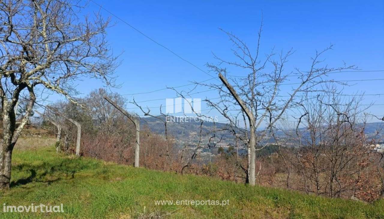Venda Terreno, São Cristóvão de Nogueira, Cinfães - Grande imagem: 3/29