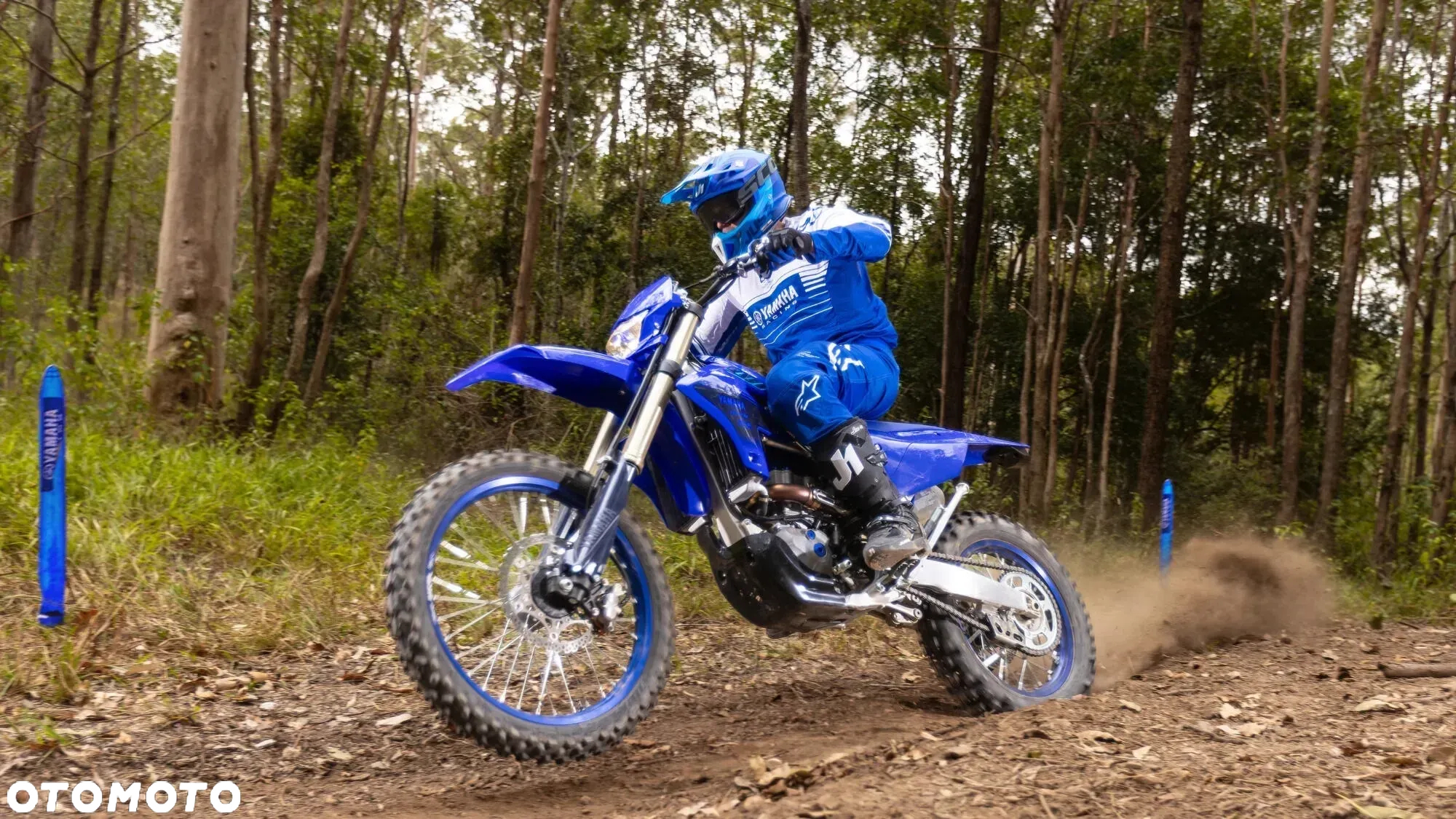 Yamaha WR - 2