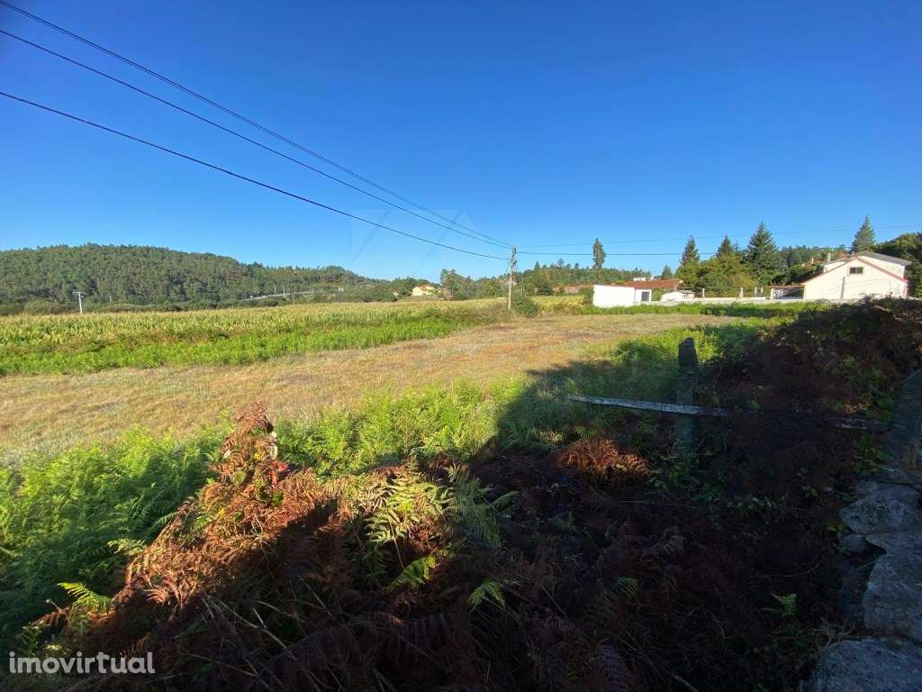 Terreno plano em Ferreira - Grande imagem: 3/9